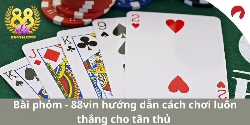 Bài Phỏm - Hướng Dẫn Cách Chơi Luôn Thắng Cho Tân Thủ