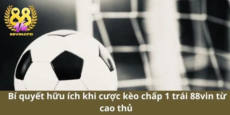 Bí quyết hữu ích khi cược kèo chấp 1 trái 88vin từ cao thủ