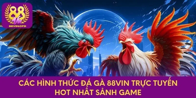 Các hình thức đá gà 88vin trực tuyến hot nhất sảnh game