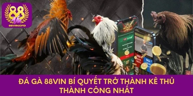 Đá Gà 88vin Bí Quyết Trở Thành Kê Thủ Thành Công Nhất