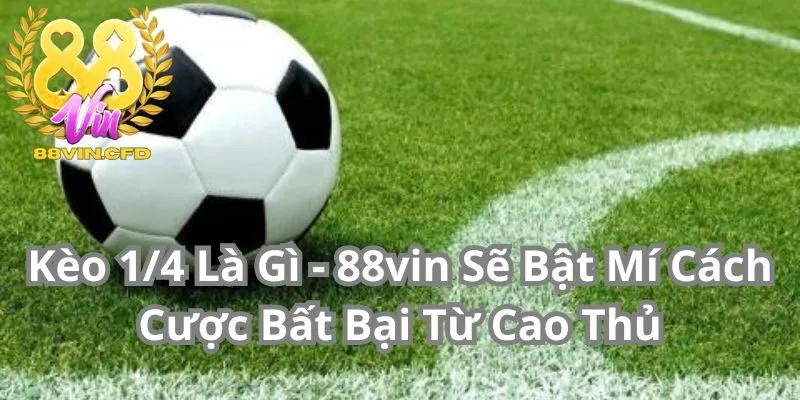 Kèo 1/4 Là Gì - 88vin Sẽ Bật Mí Cách Cược Bất Bại Từ Cao Thủ