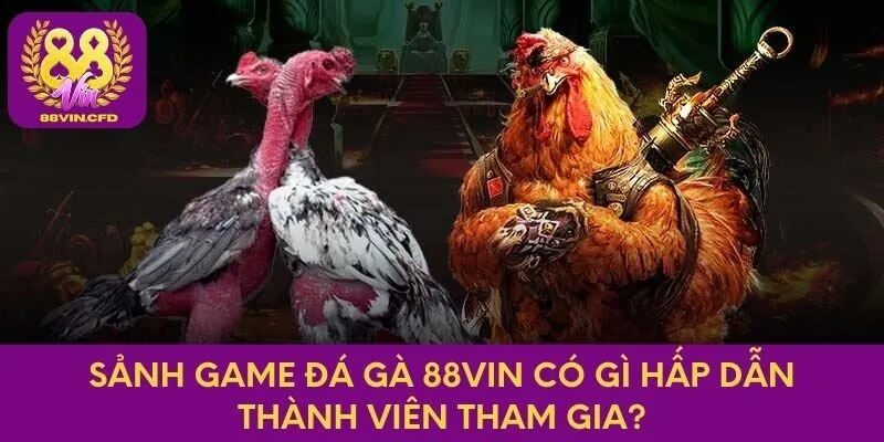 Sảnh game đá gà 88vin có gì hấp dẫn thành viên tham gia?