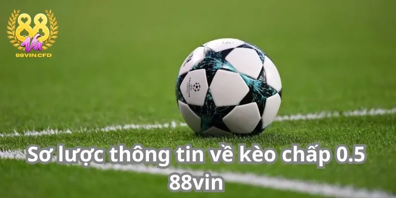 Sơ lược thông tin về kèo chấp 0.5 88vin